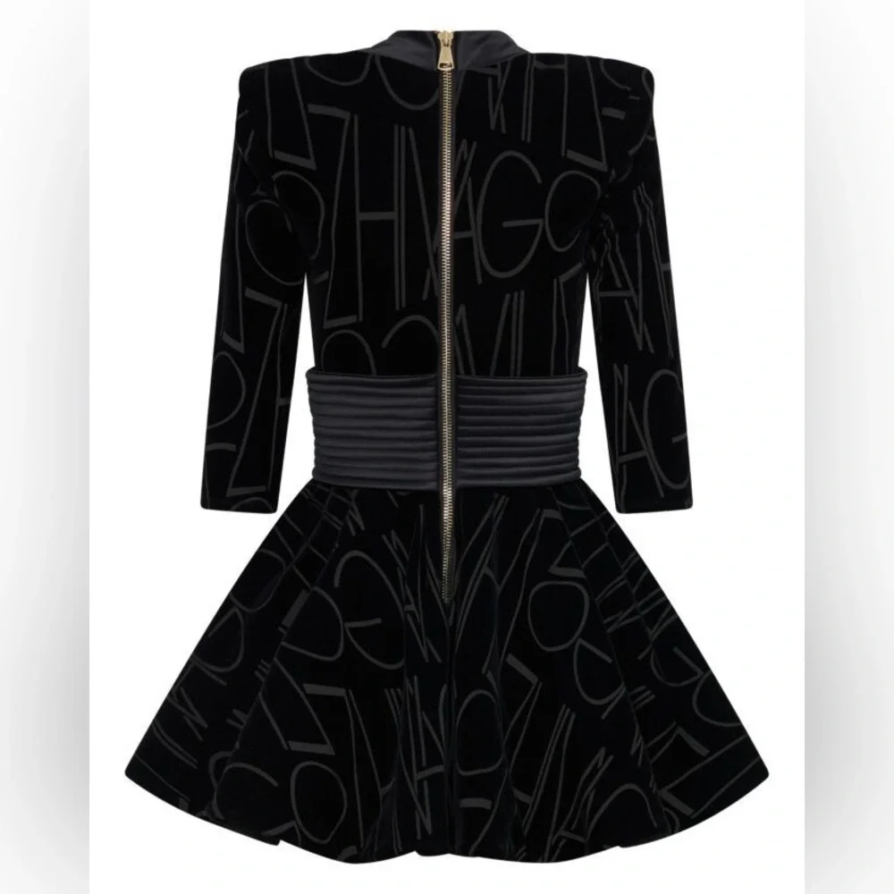 ZHIVAGO Join the Club Embossed Velvet Dress, Small? - Picture 3 of 8